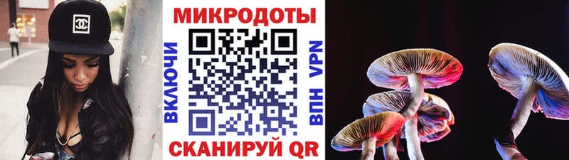 Псилоцибиновые грибы мухоморы  закладка  Руза 